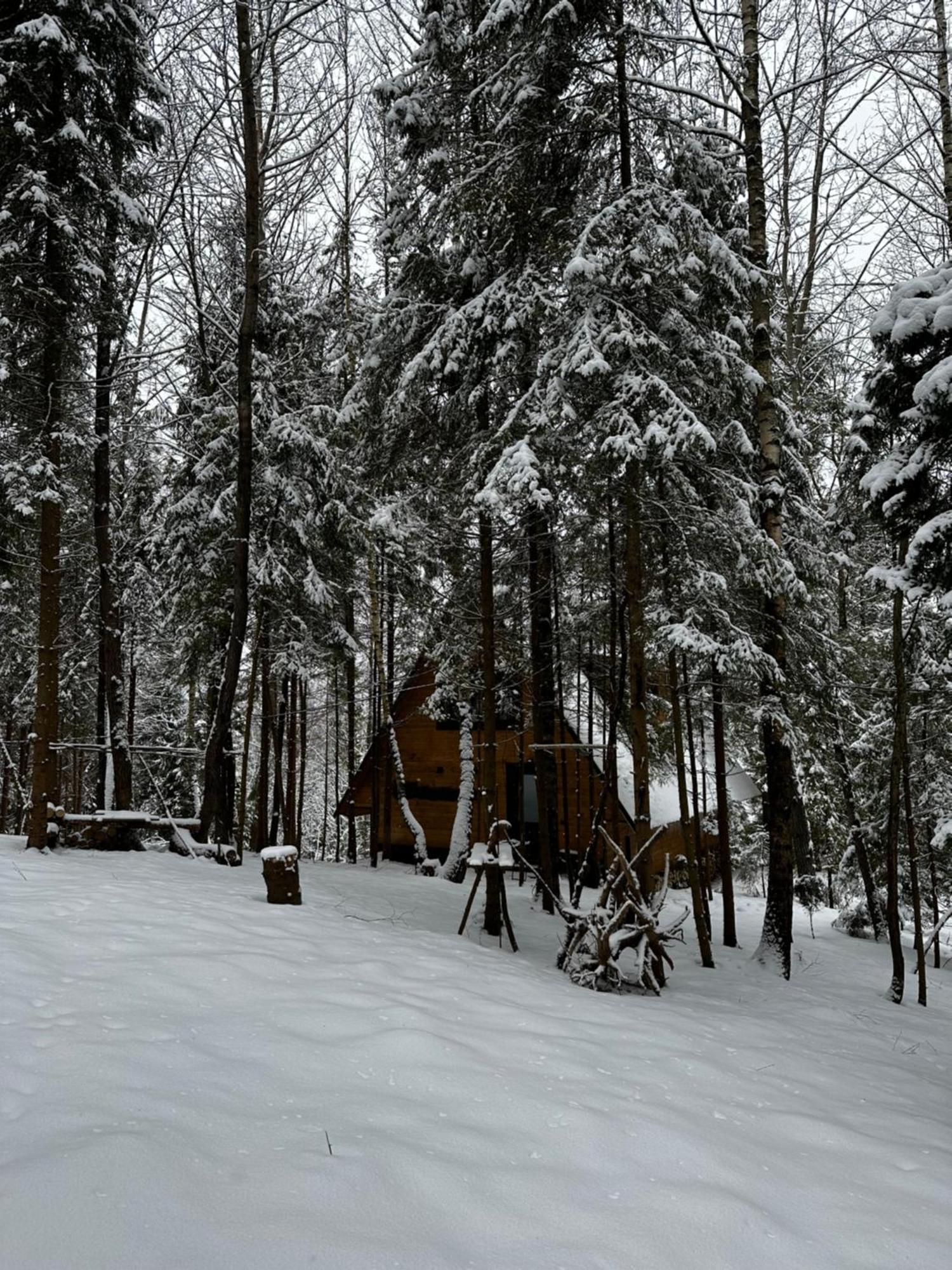 Oryavchik Country House Oryavchyk Exterior photo